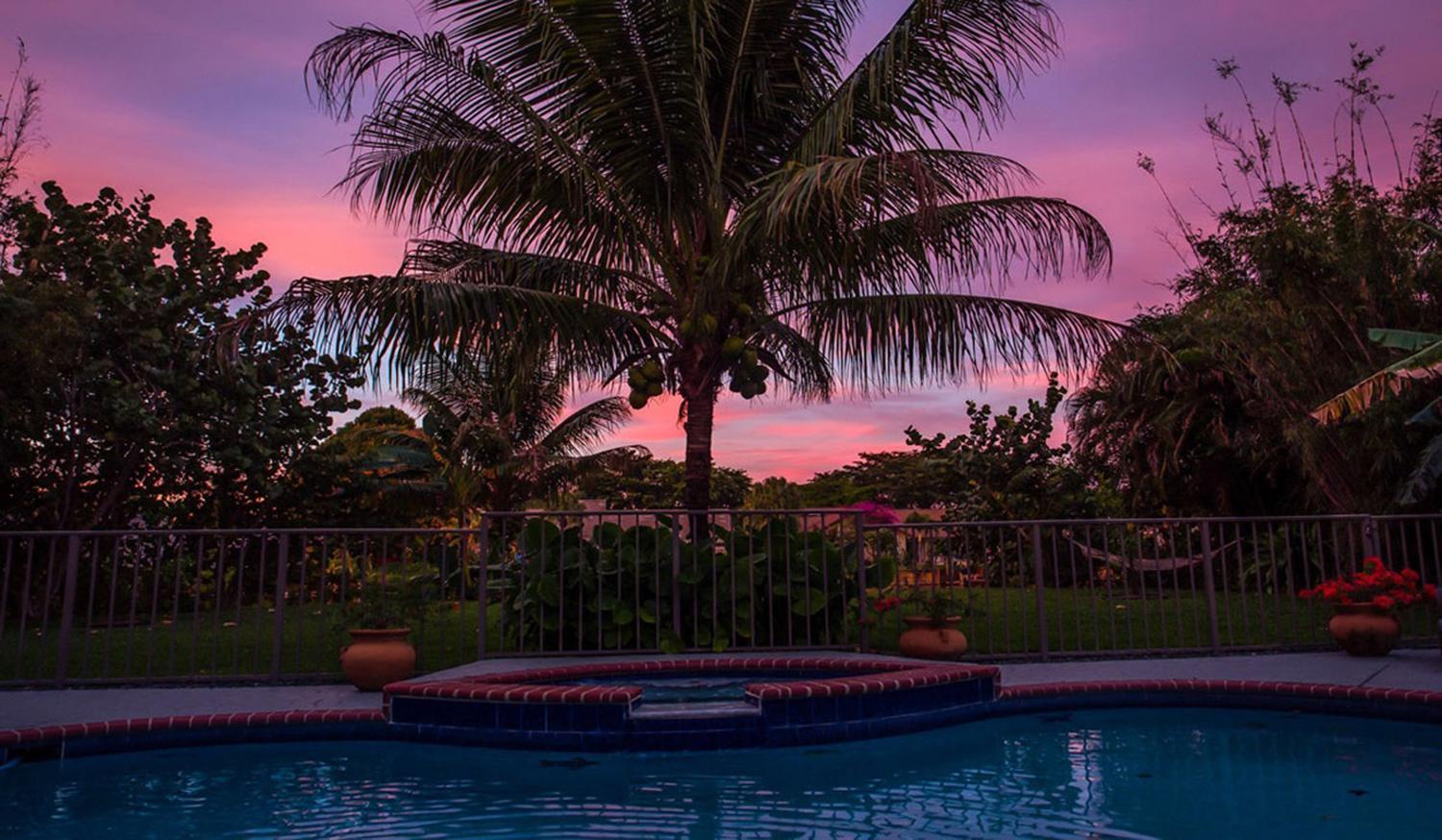 Dolphin Retreat - East Boca Raton Villa Bagian luar foto
